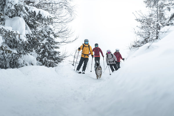 À vos skis, prêt, glissez !