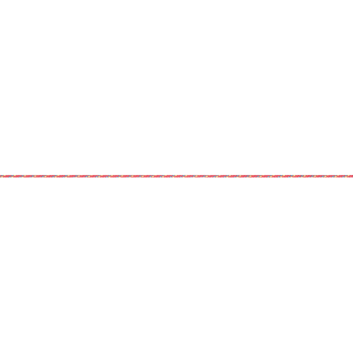 CORDE 2 MM X 1 M BEAL