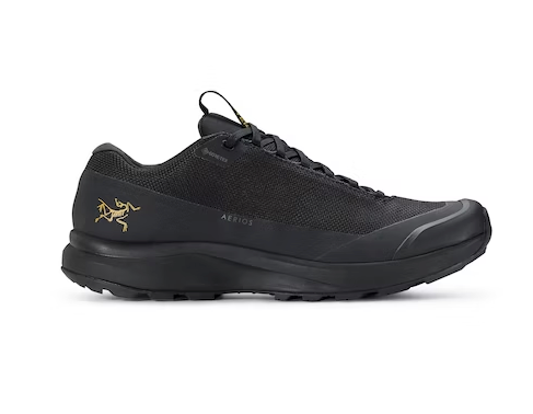 CHAUSSURE AERIOS FL 2 GTX HOMME ARC'TERYX