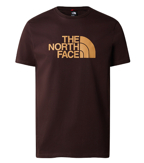 TEE SHIRT EASY HOMME THE NORTH FACE