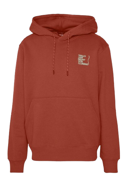 SWEAT OUTDOOR GRAPHIC HOODIE HOMME TNF