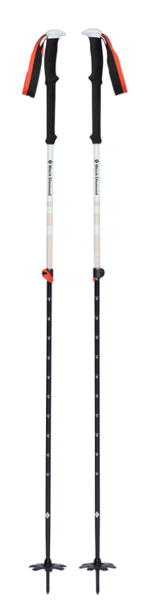 BATONS SKI EXPEDITION 2 BLACK DIAMOND